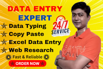 do data entry, data typing, copy paste, excel data entry, web research, big data