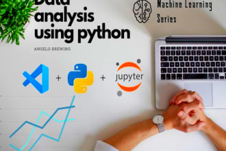 do affordable data manipulation and analysis with python
