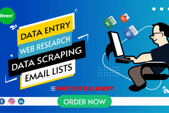 provide professional excel data entry, and web research services