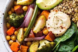 write vegan and vegetarian travel content