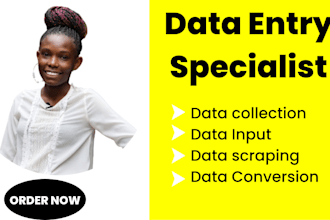 be your accurate and efficient data entry operator