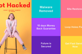 do wordpress malware removal, fix and secure hacked website