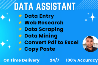 do fastest data entry, data scraping, data mining,  convert pdf to excel