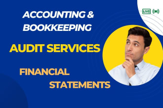 audit financial statements, profit and loss, balance sheet