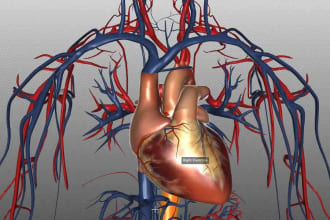 help in physiology, pharmacology and anatomy tasks