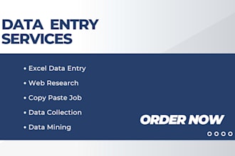 provide professional data entry services