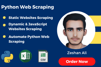 do python web scraping, website scraper, scrape and data extraction any website