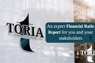 create an expert financial ratio report for you and rate your financial position
