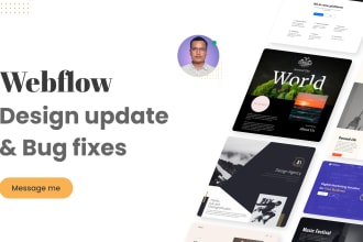 do quick webflow website design updates and bug fixes
