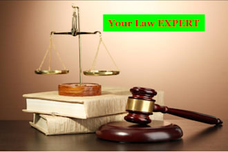 proficiently handle law essays, legal documents and case briefs