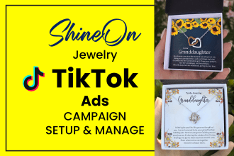 run shineon jewelry tiktok ads campaign, tiktok advertising for shineon necklace
