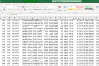 do excel data cleaning, formatting, editing, wrangling
