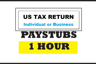 make pay stubs, pay check, checkstubs in 1 hour
