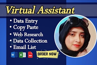 do any virtual assistant task, data entry, copy paste, email collection