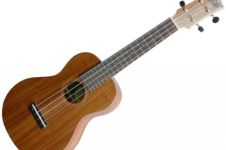 compose and play an ukulele song for you