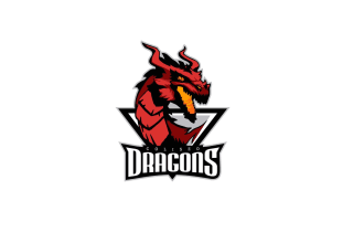 design high quality design high quality dragon logo  with creative concept