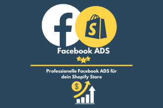 manage your facebook ads for your shopify store