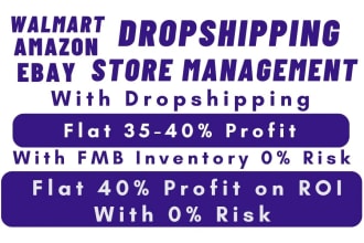 do amazon, ebay, walmart dropshipping store management