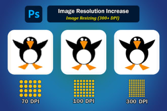 improve resolution 300 dpi, ppi, resize photo, bg remove, crop image