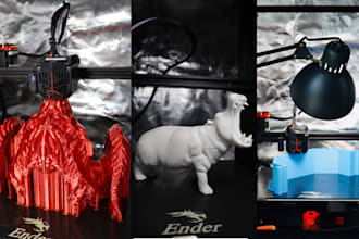 3d print your model and ship to USA or canada