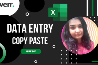 data entry, copy paste and excel data entry work