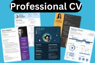 make professional cv maker resume design writing or rewriting service update uk