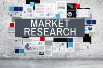 do market research, competitor analysis, niche research and business plan