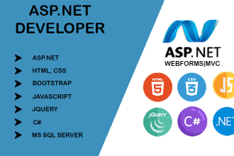 be your dot net developer to create professional websites