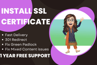 install SSL certificate and CDN on your wordpress website