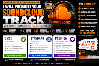 promote your soundcloud music with reposts from high follower accounts
