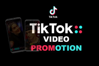 organic tiktok promotion, tiktok marketing, tiktok video promotion