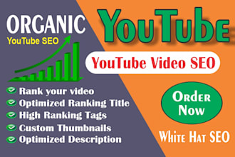 rank youtube channel,video promotion,monetize channel,video seo
