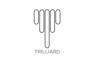 design high quality minimalist logo at the cheapest cost