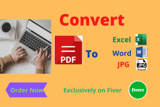 convert PDF to word, excel, PDF form, data entry, typing, copy paste