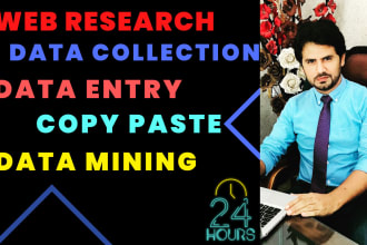 do web research, data collection and excel data entry