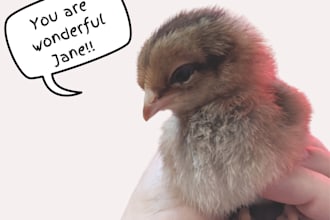 design a personalized message with a chicken photo