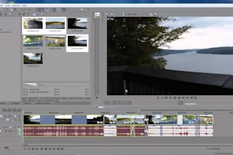 edit any video for 5 dollars