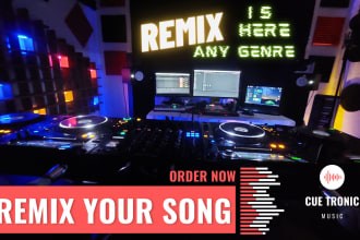 create remix, remake any song, any genre