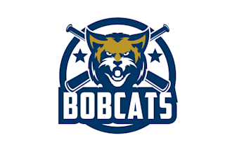 design creative baseball logo for you