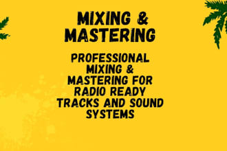mix and master your reggae afrobeat dancehall pop song