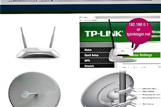 fix all networking issues and provide professional IT support