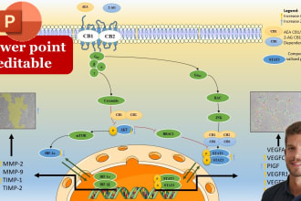 make a scientific illustration for your next paper