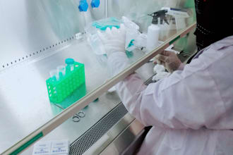 write medical content, power point presentations and medical related articles