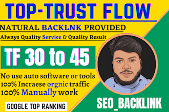 provide high quality high tf homepage dofollow SEO backlinks linkbuilding