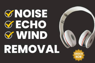 remove noise, wind, echo, repair and edit your audio
