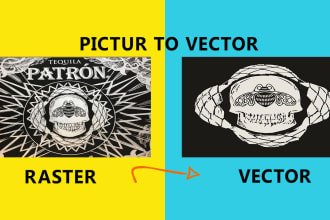 vectorize image to a vector logo