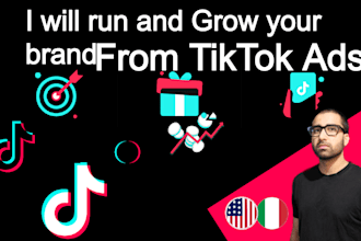 be tiktok ads campaign manager, strategy, setup, optimize, marketing, advertise