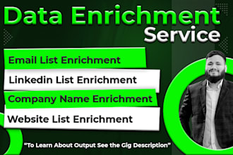 do data enrichment of emails, linkedin, company, website, bulk data enrichment