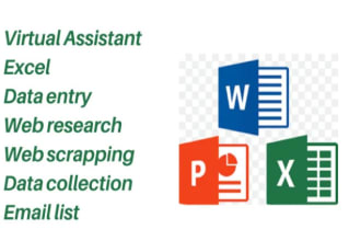 do excel data entry for web scraping or find emails address