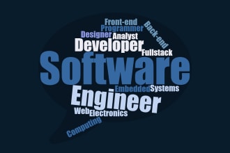 be your software engineer or software developer or  web application developer
